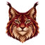 lynx
